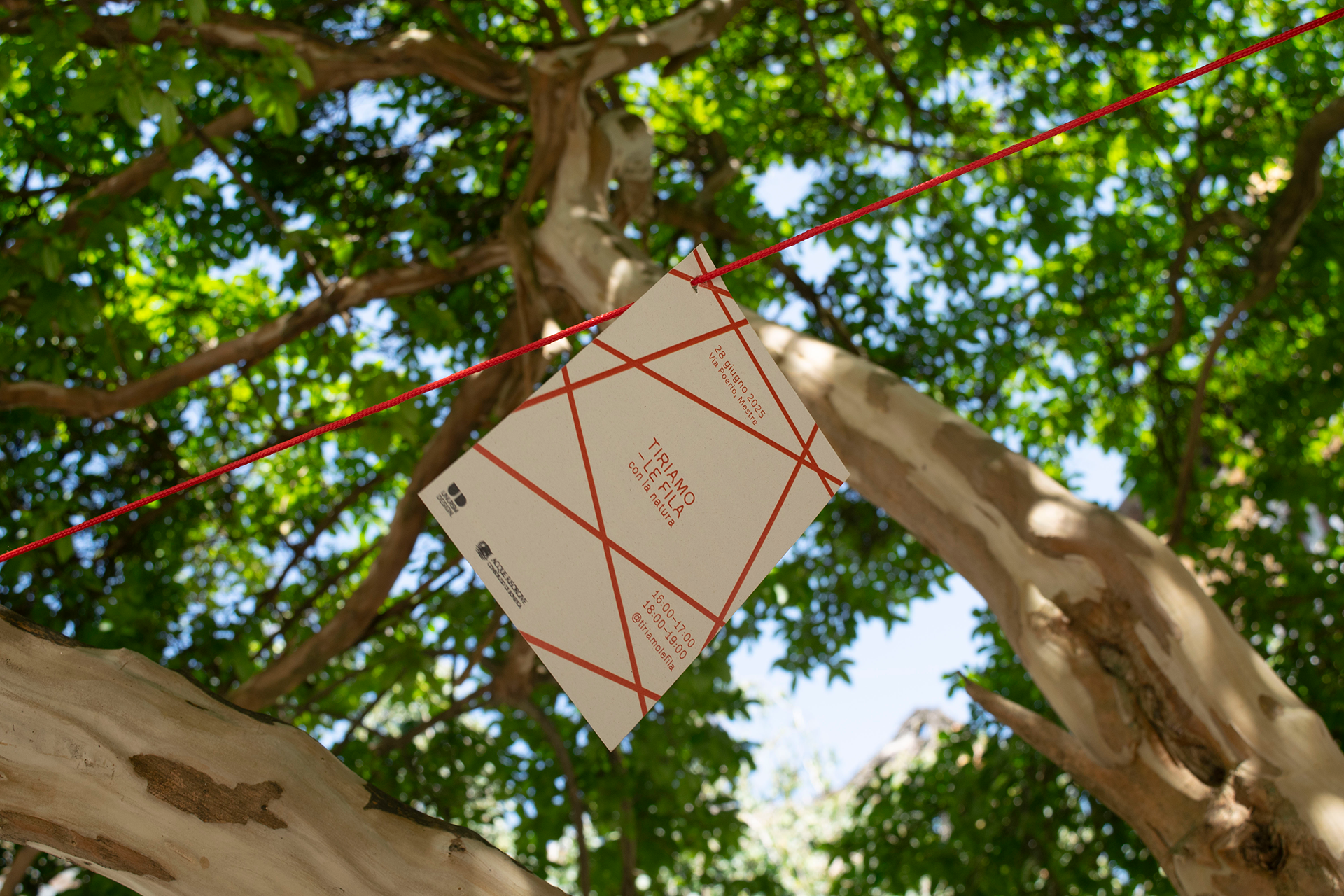 informational postcard attached to a net on a tree