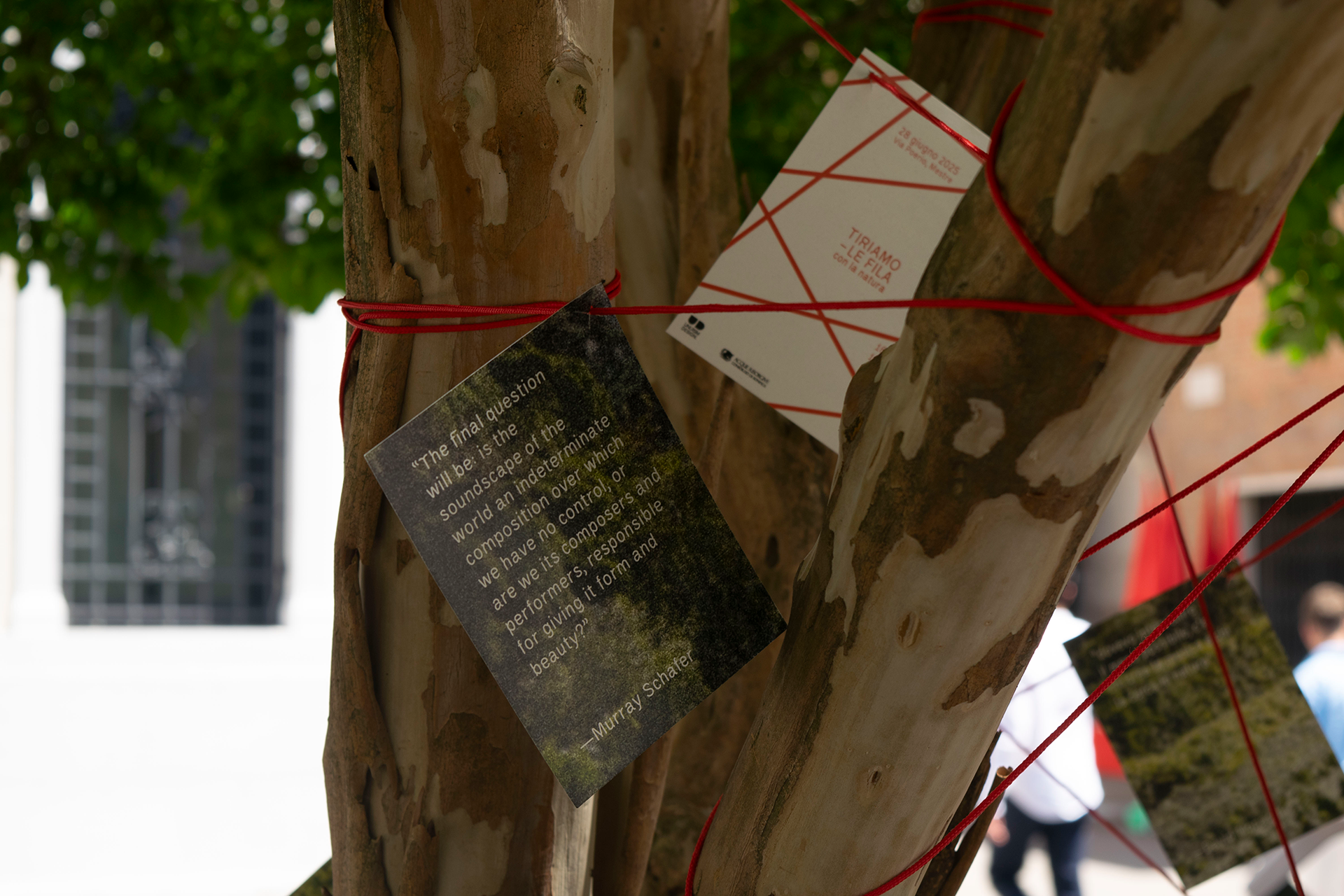 informational postcards attached to a net on a tree